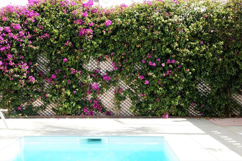 Casa Molinar Villa ปัลมาเดมายอร์กา ภายนอก รูปภาพ